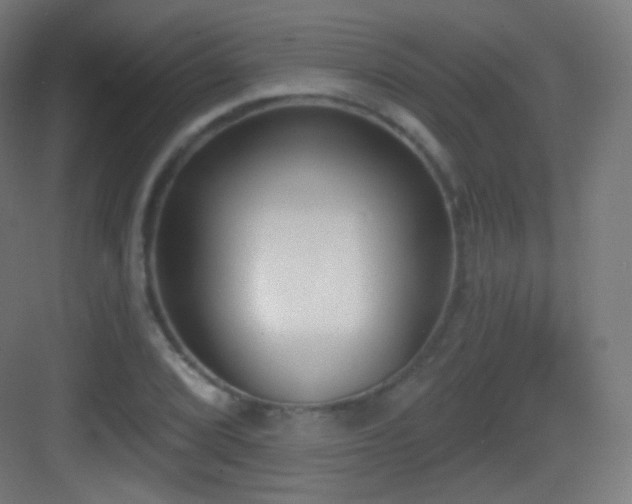X0000083531072200702091000