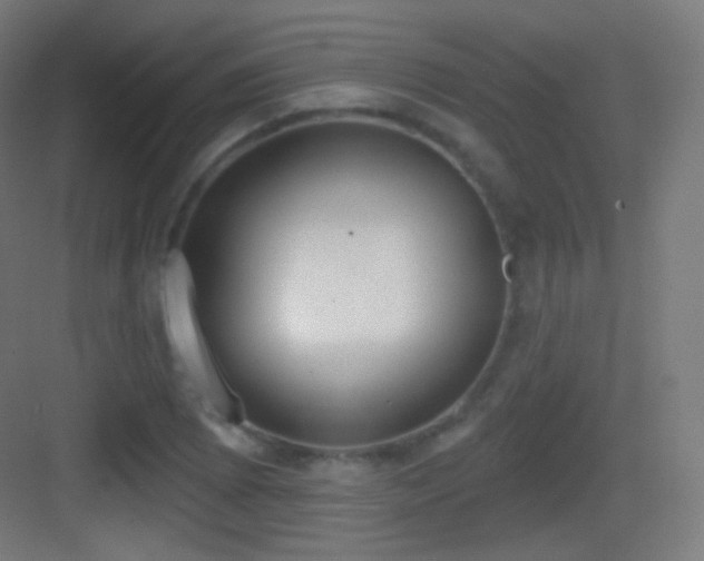 X0000083531073200702091000