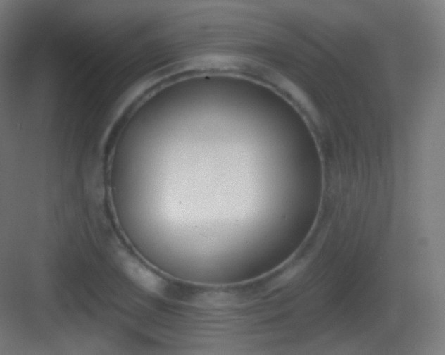 X0000083531075200702091000