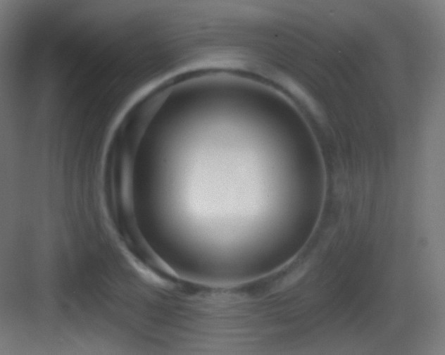 X0000083531077200702091000