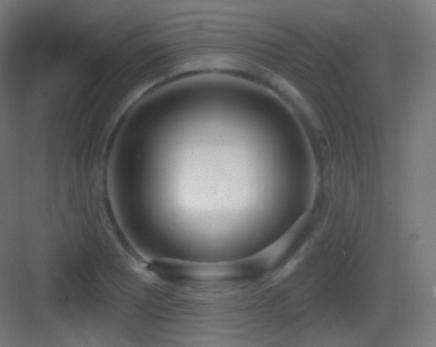 X0000083531081200702091000