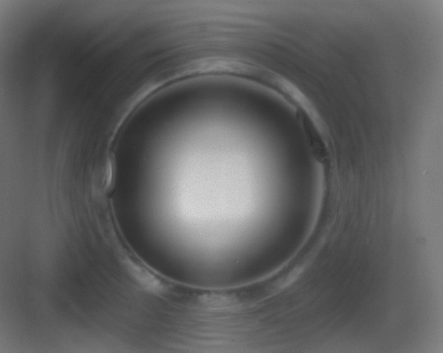 X0000083531089200702091000