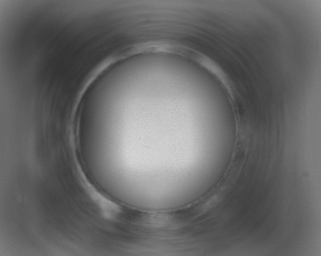 X0000083531090200702091000