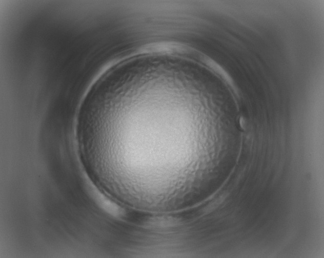 X0000083531091200702091000