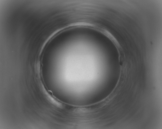 X0000083531092200702091000