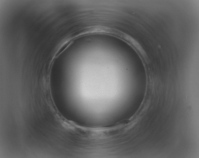 X0000083531097200702091000