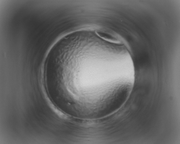 X0000083531099200702091000