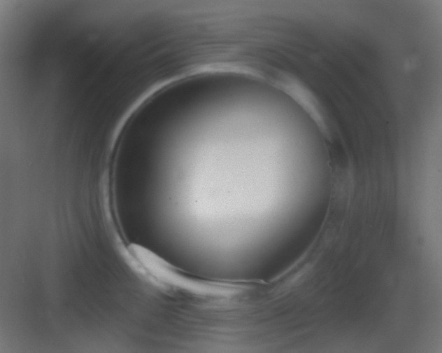 X0000083531100200702091000