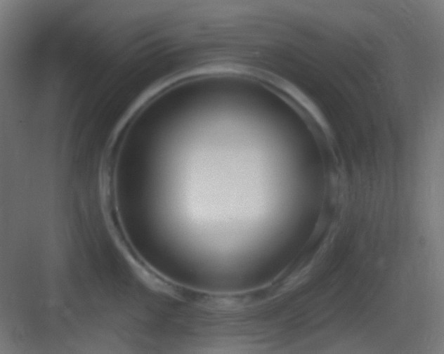 X0000083531101200702091000
