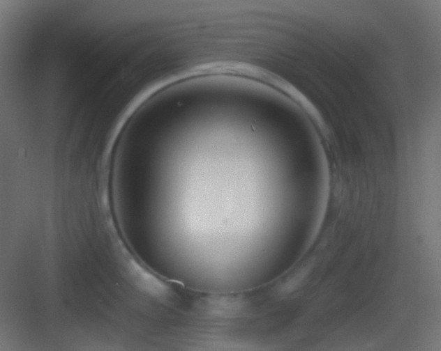 X0000083531102200702091000