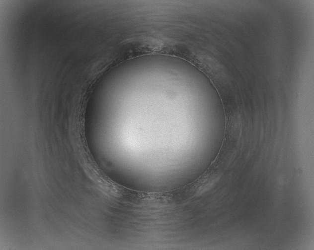 X0000083531105200702090959