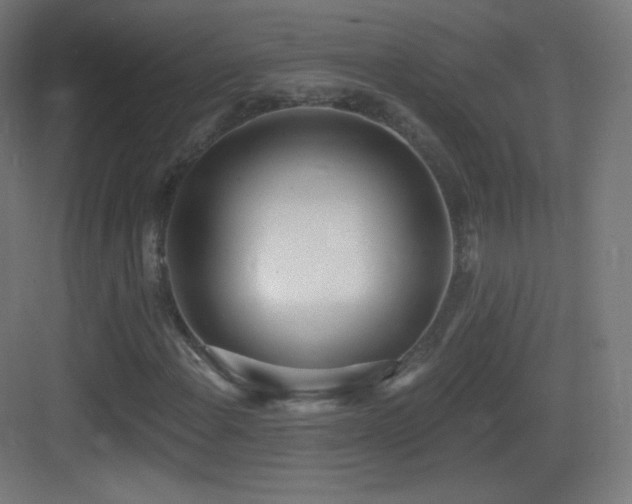 X0000083531108200702090959