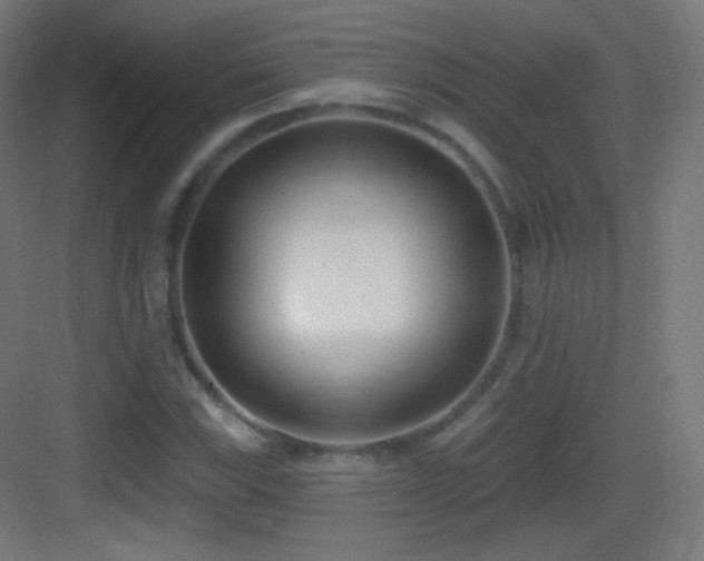 X0000083531115200702090959