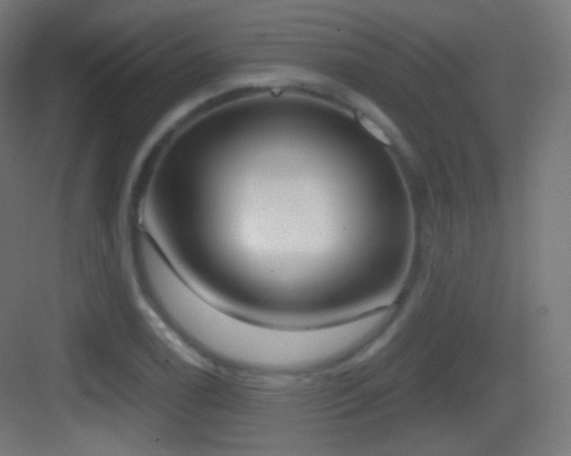 X0000083531122200702090959