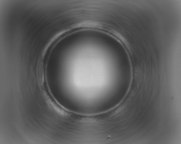 X0000083531123200702090959
