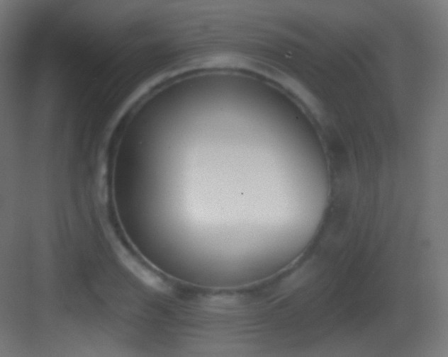 X0000083531126200702090959