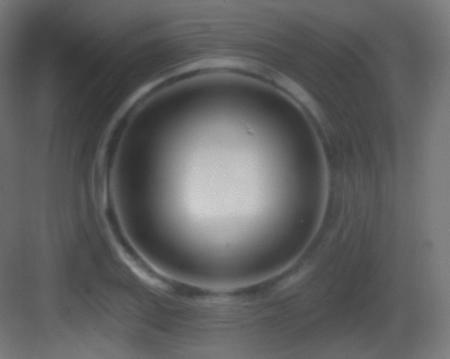 X0000083531127200702090959