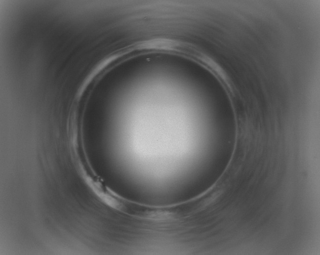 X0000083531131200702090959