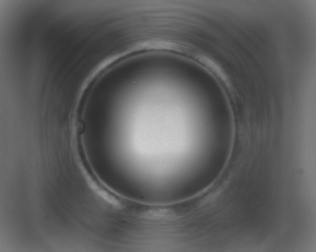 X0000083531133200702090959