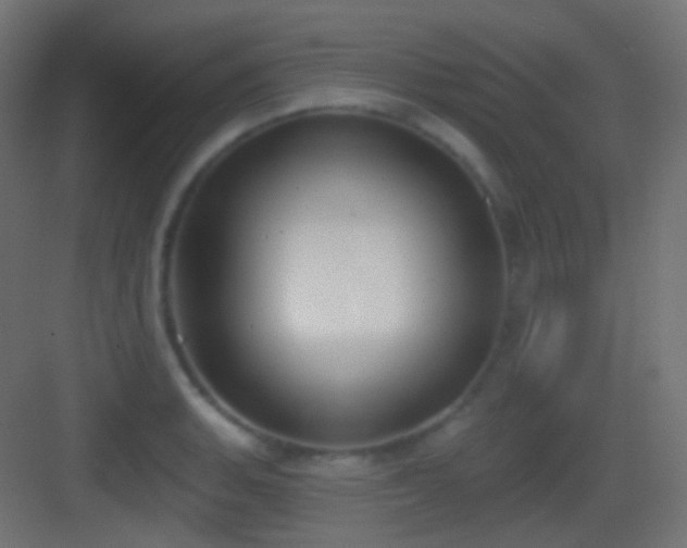 X0000083531135200702090959