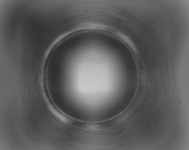 X0000083531136200702090959