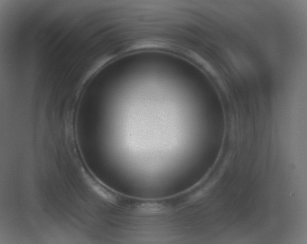 X0000083531137200702090959