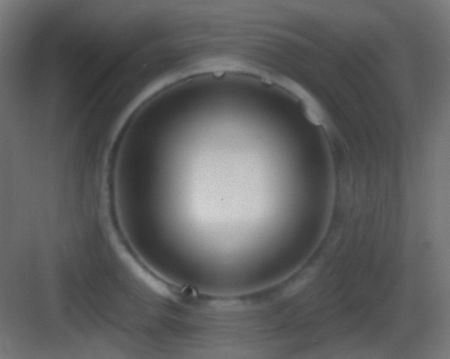 X0000083531142200702090959