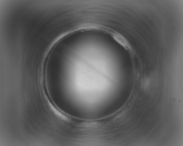 X0000083531143200702091000