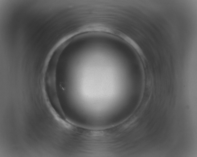 X0000083531144200702091000