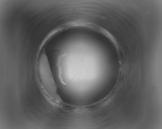 X0000083531146200702091000