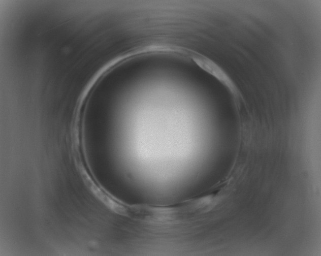 X0000083531148200702091000