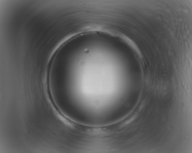 X0000083531149200702091000