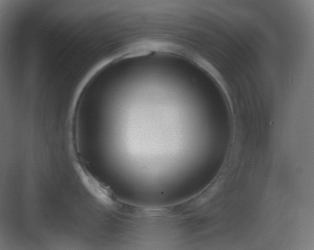 X0000083531152200702091000