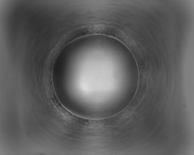 X0000083531153200702090959
