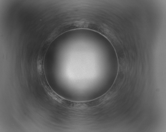 X0000083531154200702090959
