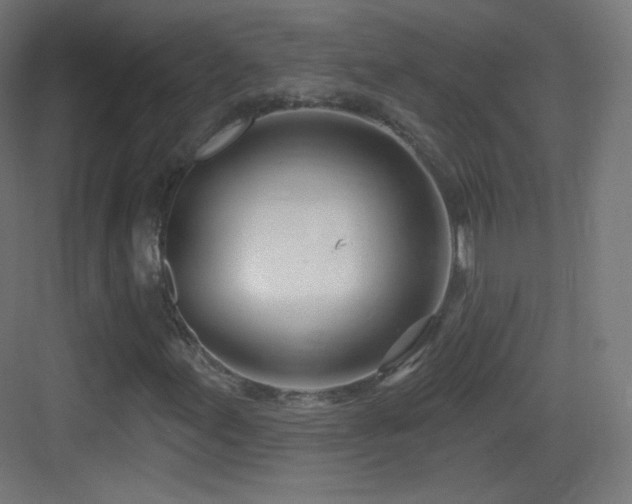 X0000083531155200702090959