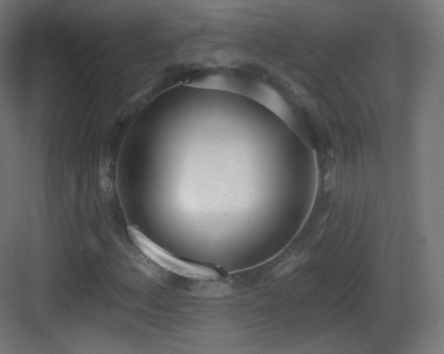 X0000083531156200702090959