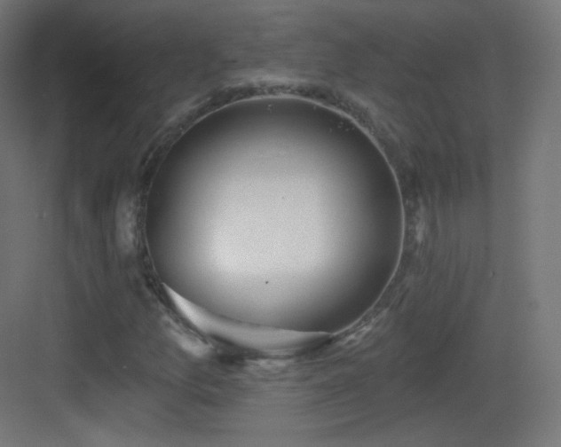 X0000083531157200702090959