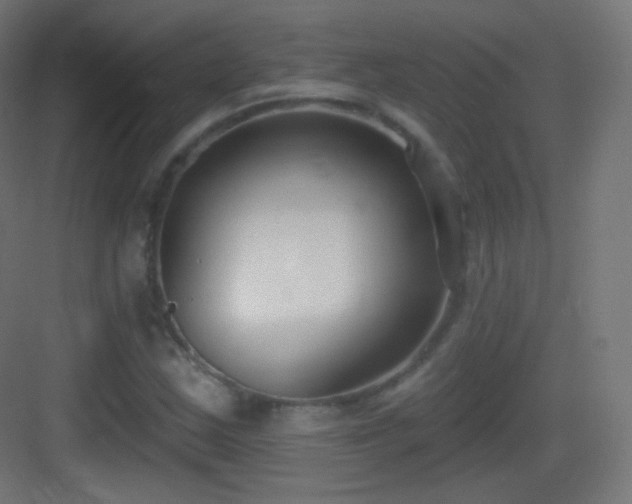 X0000083531163200702090959