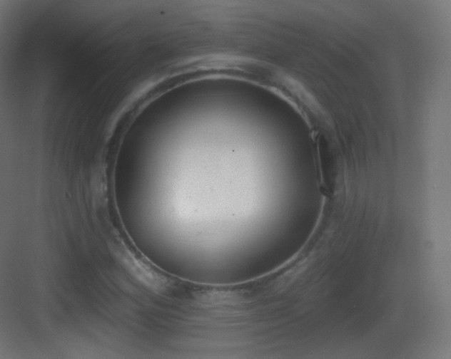 X0000083531164200702090959