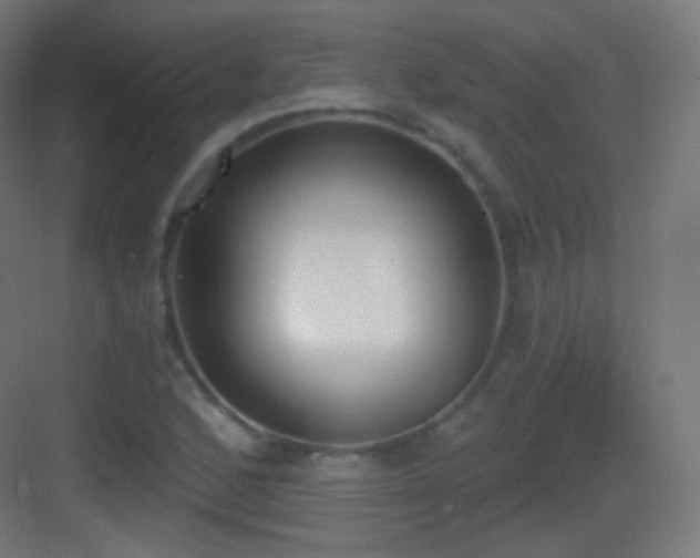 X0000083531168200702090959