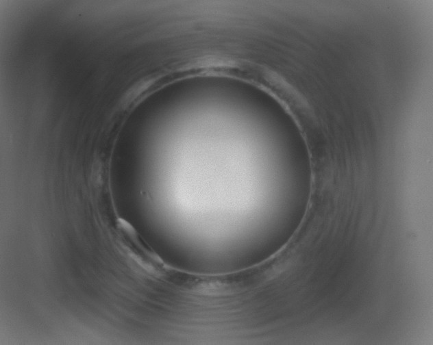 X0000083531169200702090959