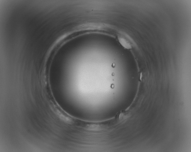 X0000083531172200702090959