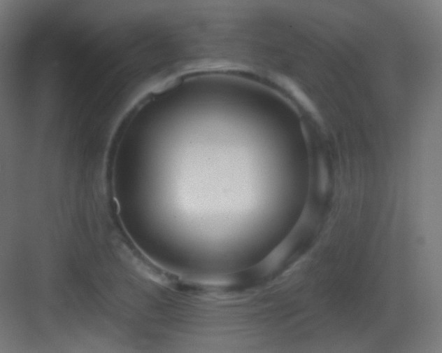 X0000083531173200702090959