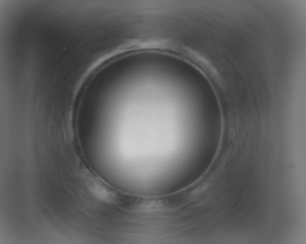 X0000083531174200702090959