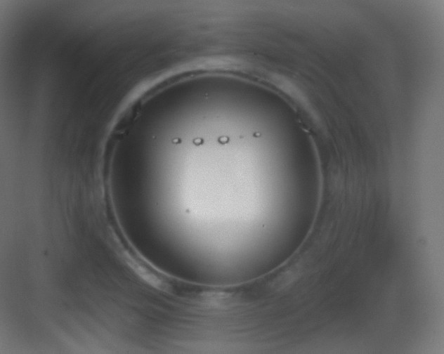 X0000083531176200702090958