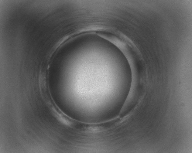 X0000083531177200702090958