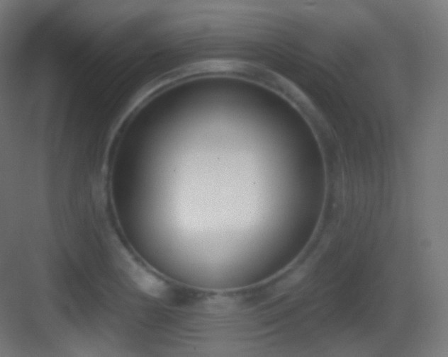 X0000083531178200702090958