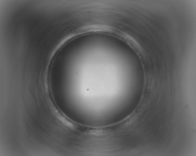 X0000083531182200702090958