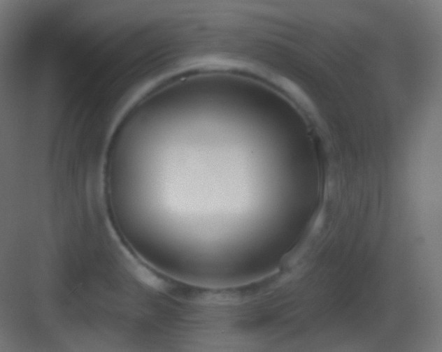 X0000083531183200702090958